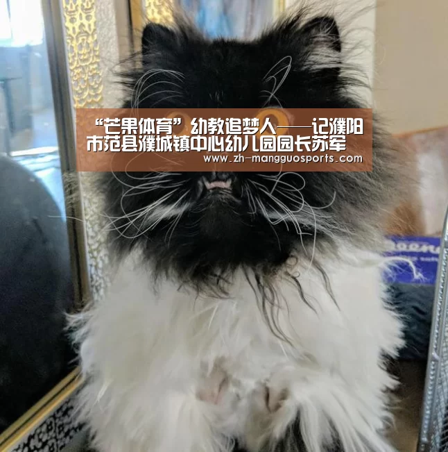 “芒果体育”幼教追梦人——记濮阳市范县濮城镇中心幼儿园园长苏军(图4) 芒果体育