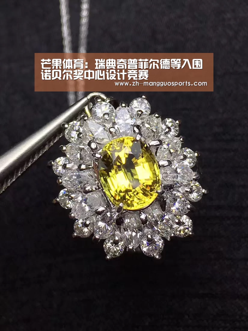 芒果体育:瑞典奇普菲尔德等入围诺贝尔奖中心设计竞赛(图2) 芒果体育