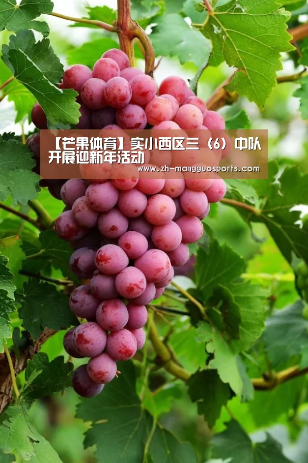 【芒果体育】实小西区三(6)中队开展迎新年活动(图1) 芒果体育