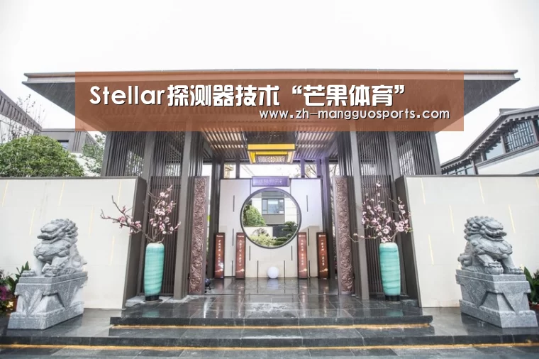 Stellar探测器技术“芒果体育”(图2) 芒果体育