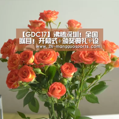 【GDC17】沸腾深圳!全国瞩目!开幕式+颁奖典礼+设计论坛_芒果体育(图2) 芒果体育